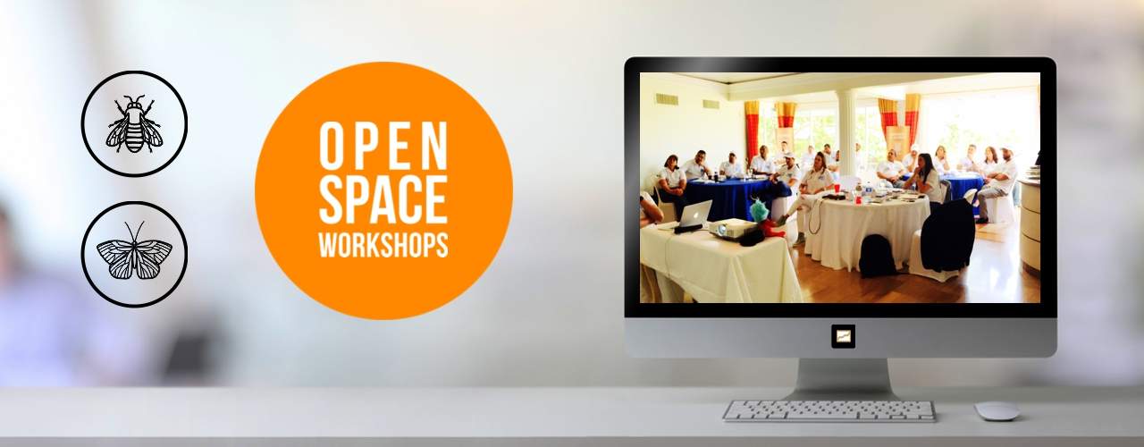 Open Space Workshops